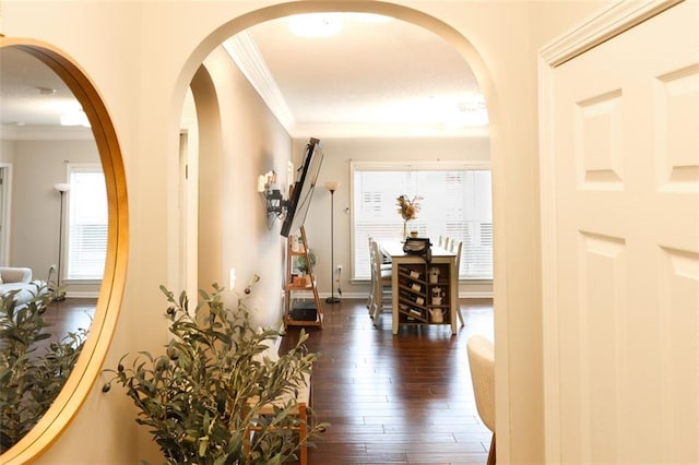 hall with ornamental molding and dark hardwood / wood-style floors