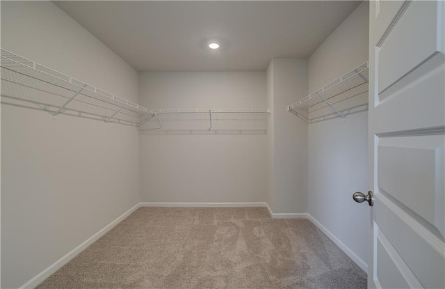 walk in closet featuring light colored carpet