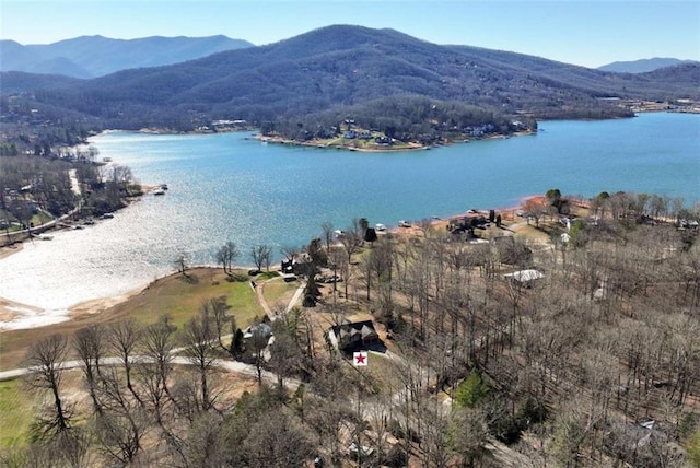 drone / aerial view featuring a water and mountain view