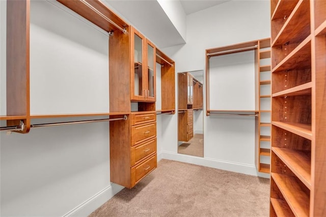 walk in closet with light colored carpet