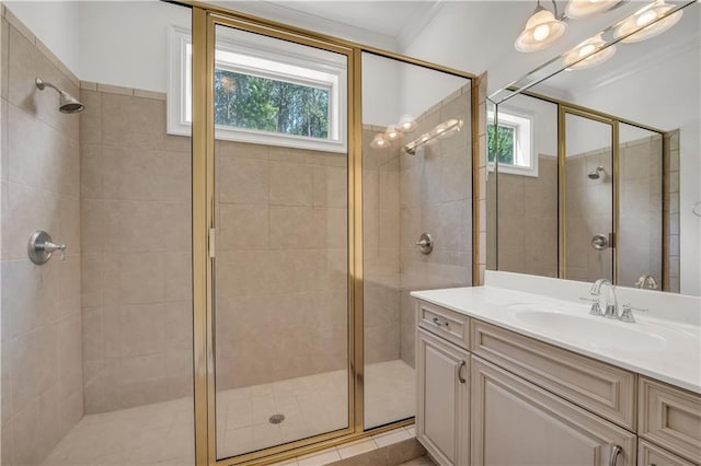 bathroom with plenty of natural light, a shower stall, and vanity