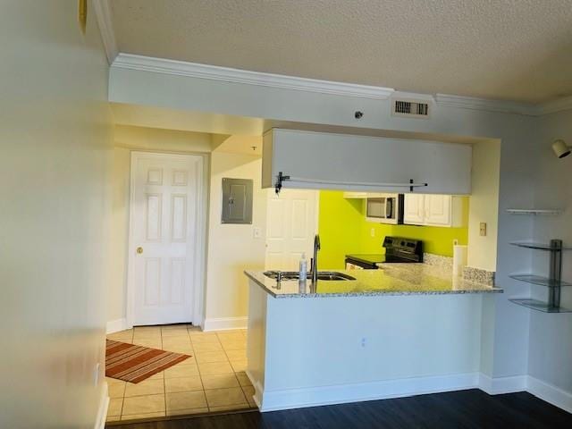 kitchen featuring range, sink, kitchen peninsula, light wood-type flooring, and electric panel