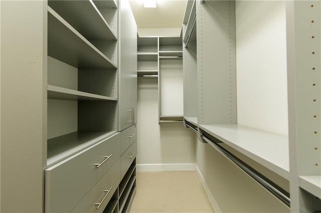 walk in closet with light colored carpet