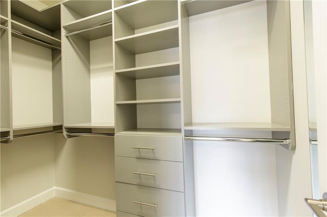 view of walk in closet