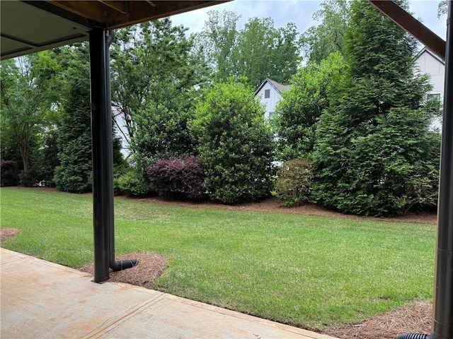 view of yard with a patio area