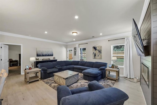 living room featuring crown molding, a fireplace, and light hardwood / wood-style floors