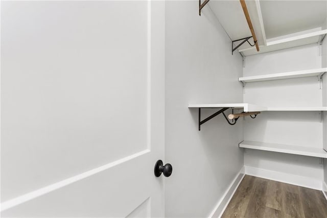 spacious closet with dark wood finished floors