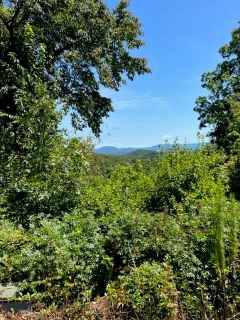 LT15 Red Tail Ln, Blairsville GA, 30512 land for sale