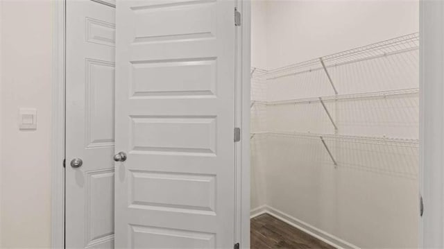 spacious closet with dark wood-type flooring