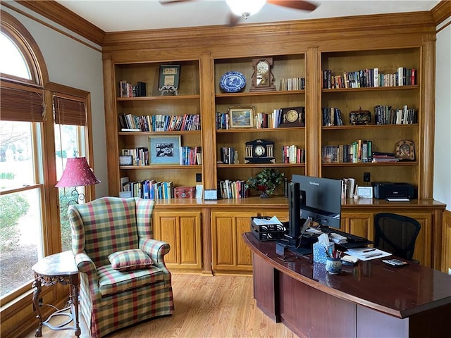 5440 Cameron Forest Pkwy, Johns Creek, GA 30022 - office area featuring a ceiling fan, crown molding, and light wood-type flooring