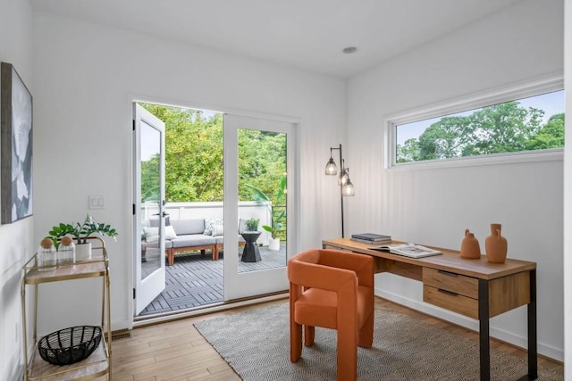 office featuring wood-type flooring