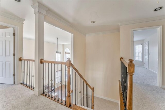 kitchen featuring tasteful backsplash, appliances with stainless steel finishes, a sink, and ornamental molding