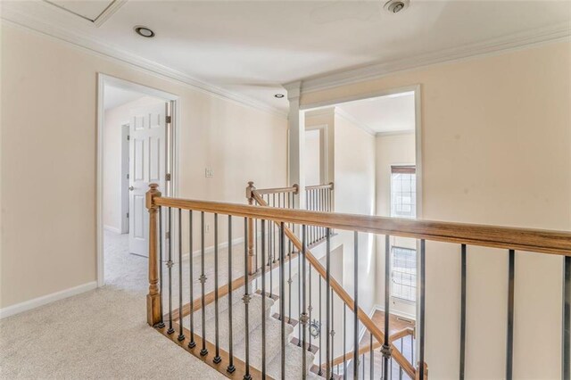 carpeted empty room featuring visible vents, baseboards, and a ceiling fan