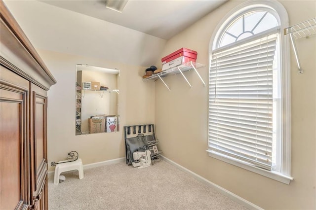 spacious closet featuring lofted ceiling and carpet flooring