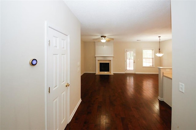 hall with dark hardwood / wood-style flooring