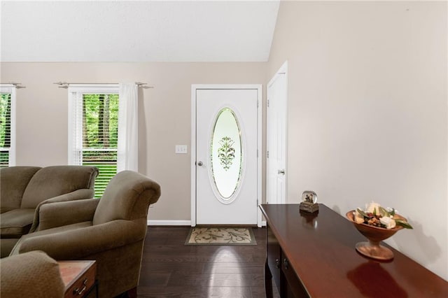 3012 Cypress Cv, Ball Ground, GA 30107 - entryway with dark wood finished floors, lofted ceiling, and baseboards