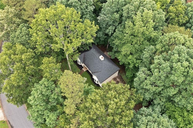 3012 Cypress Cv, Ball Ground, GA 30107 - aerial view of property's location