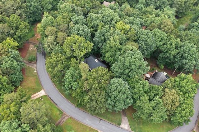 3012 Cypress Cv, Ball Ground, GA 30107 - aerial view of property's location