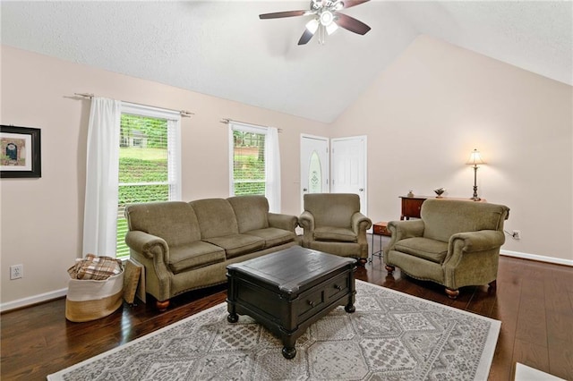 3012 Cypress Cv, Ball Ground, GA 30107 - living area with a ceiling fan, wood finished floors, baseboards, high vaulted ceiling, and a textured ceiling