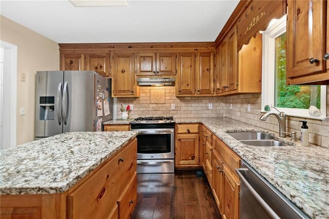 3012 Cypress Cv, Ball Ground, GA 30107 - kitchen with stainless steel appliances, under cabinet range hood, dark wood-style floors, a sink, and backsplash