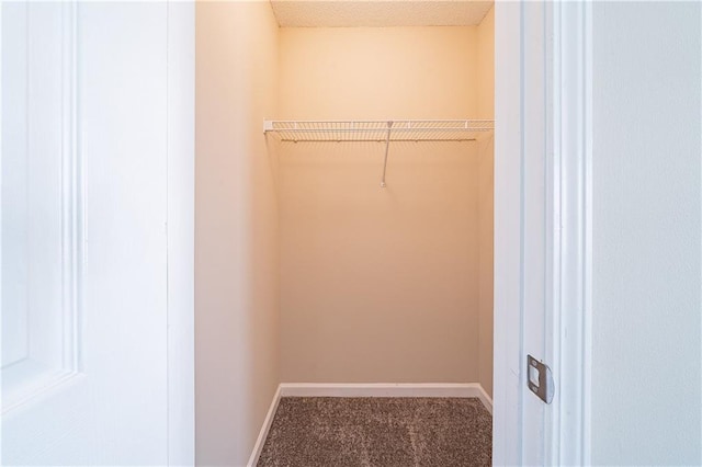 walk in closet featuring carpet floors