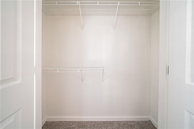 spacious closet featuring carpet flooring