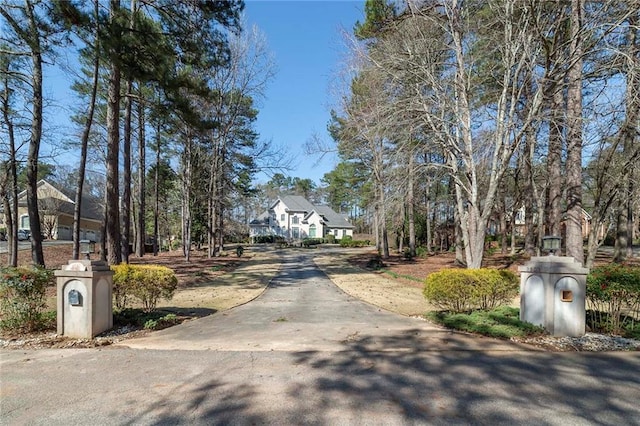 view of street with driveway