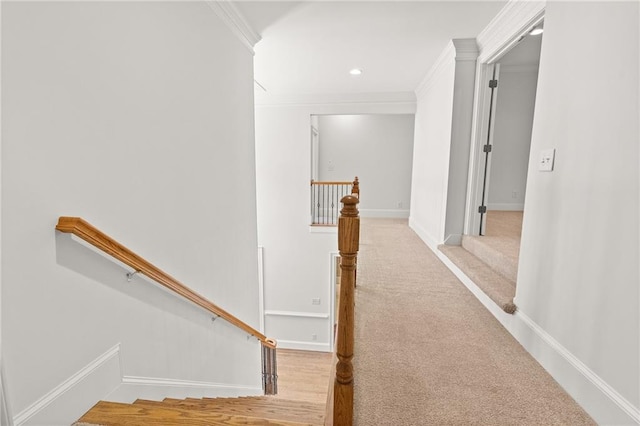 corridor featuring light carpet and crown molding