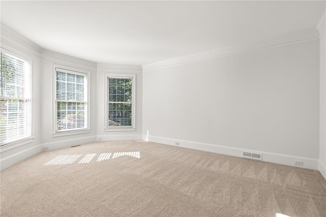 empty room featuring ornamental molding and light colored carpet