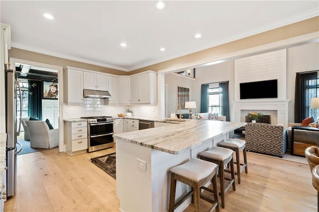 kitchen featuring light wood finished floors, appliances with stainless steel finishes, open floor plan, under cabinet range hood, and a sink