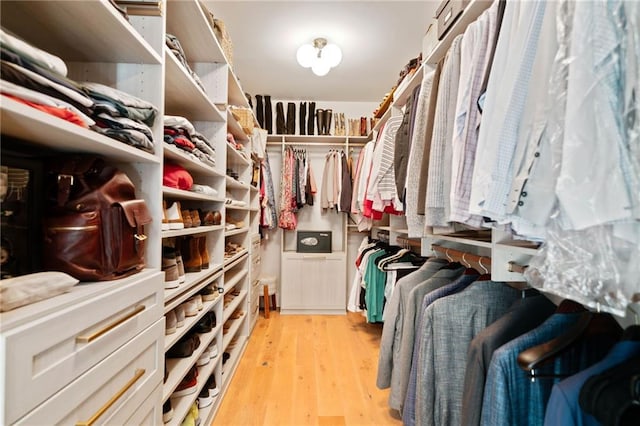 walk in closet with light wood-type flooring