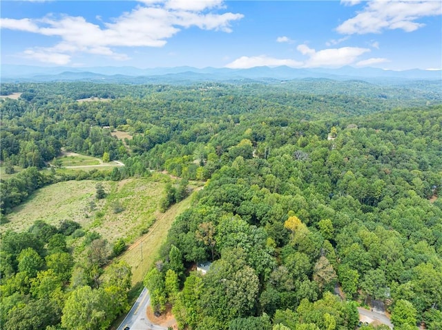 aerial view with a mountain view