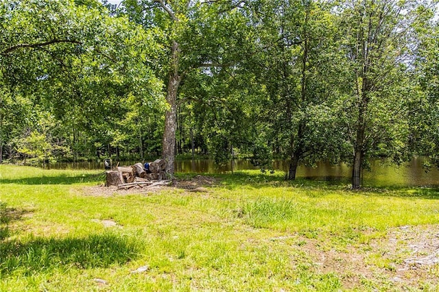 83 Manning Lake Rd, Rome, GA 30165 - view of yard