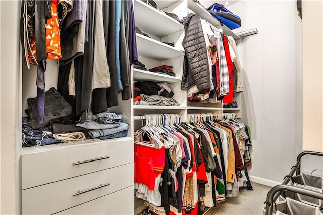 spacious closet featuring carpet floors