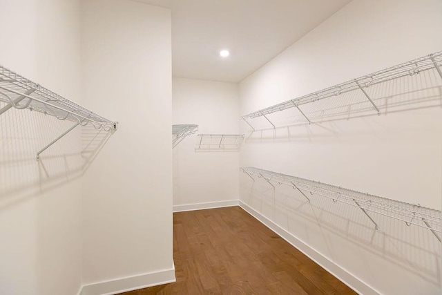 walk in closet featuring dark wood finished floors