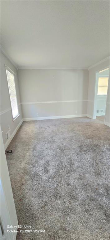 carpeted empty room with crown molding