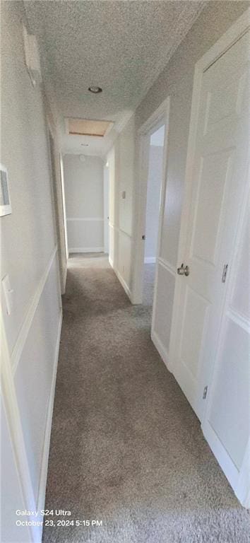 hall with carpet floors and a textured ceiling