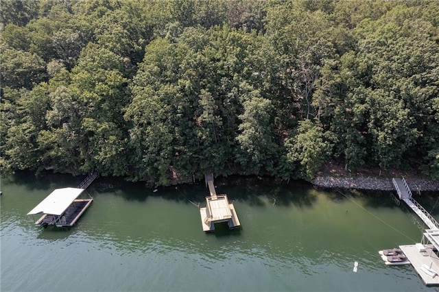 dock area with a view of trees