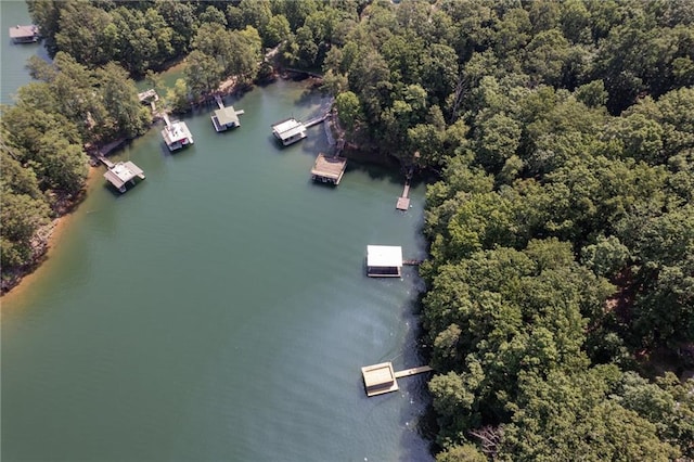 aerial view featuring a forest view and a water view