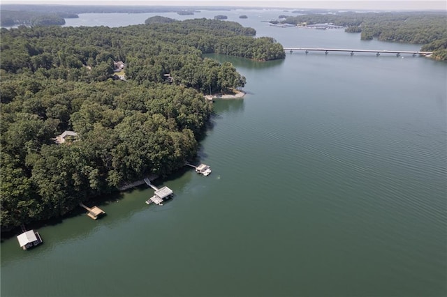 birds eye view of property featuring a forest view and a water view