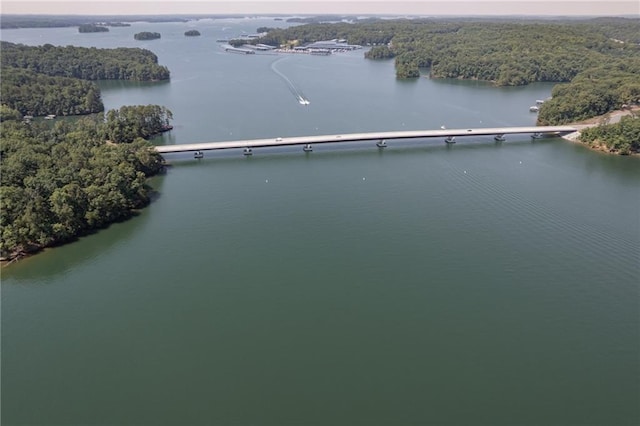 drone / aerial view featuring a water view and a wooded view