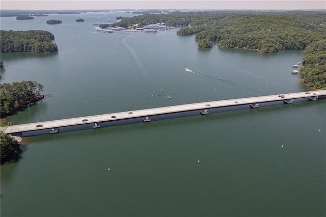 drone / aerial view featuring a water view and a wooded view