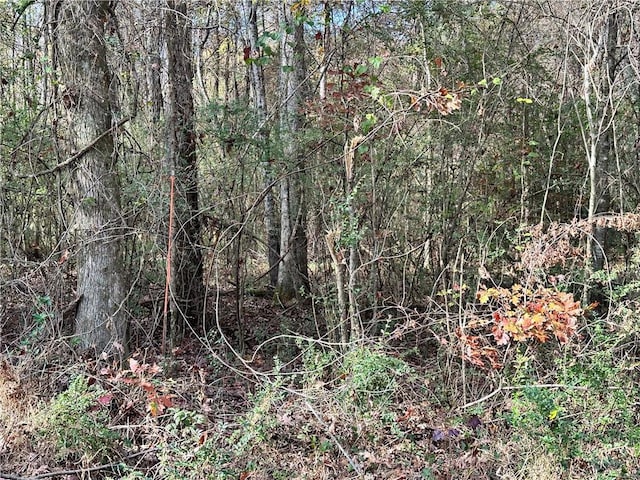 0 Satcher Rd, Taylorsville, GA 30178