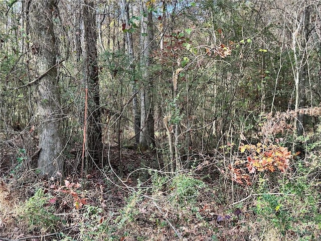 0 Satcher Rd, Taylorsville GA, 30178 land for sale