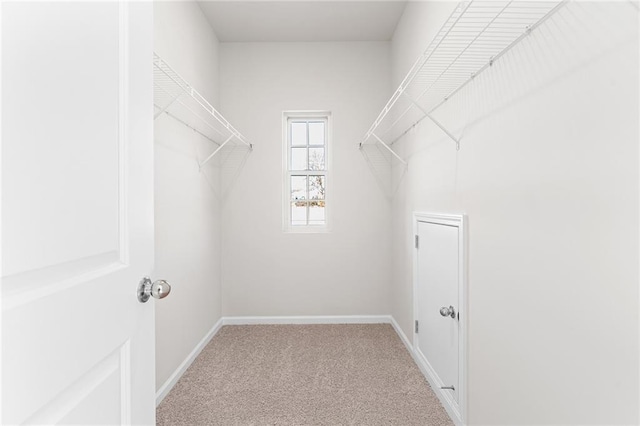 spacious closet featuring light colored carpet