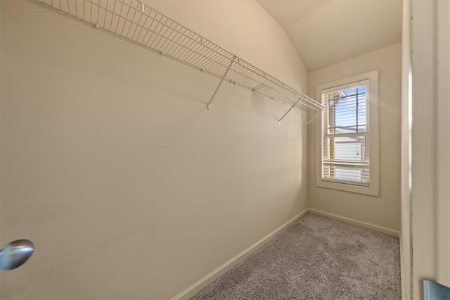 spacious closet featuring lofted ceiling and light carpet