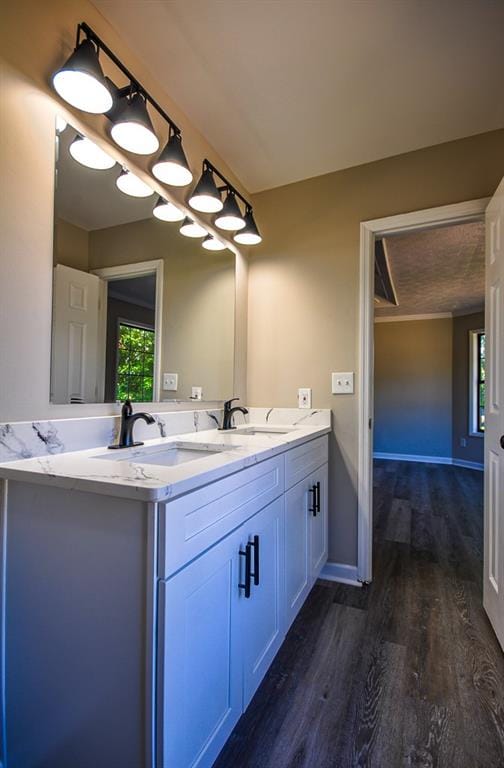 bathroom featuring wood-type flooring and vanity