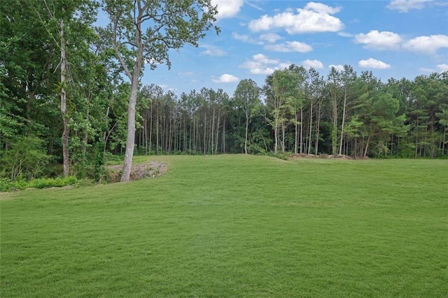 3893 Indian Shoals Rd, Dacula, GA 30019 - view of grassy yard with a forest view