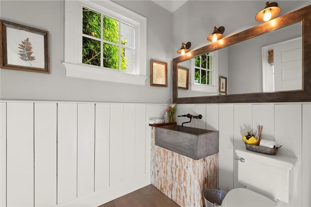 bathroom with wainscoting, a sink, toilet, and wood finished floors