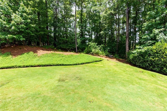2055 Beacon Hill Way, Alpharetta, GA 30005 - view of green lawn